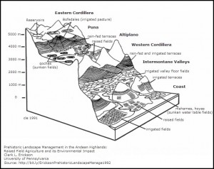 Diagram of pre-hispanic agricultural systems of Peru from article by Prof. Clark L. Erickson