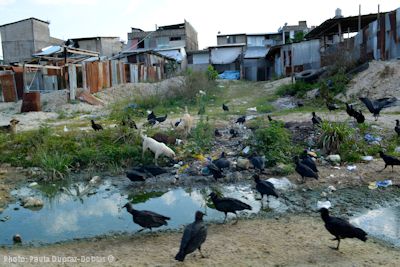 In spite fo the millions of dollars generated by illegal gold extraction, the overriding reality in Huaypetuhe is one of poverty. 