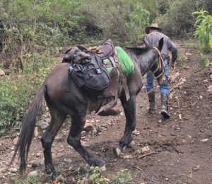 Gary Ziegler - horse-supported archaeological expedition April 2016