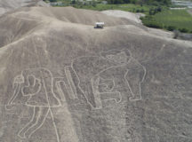 Palpa Lines - Ica, Peru