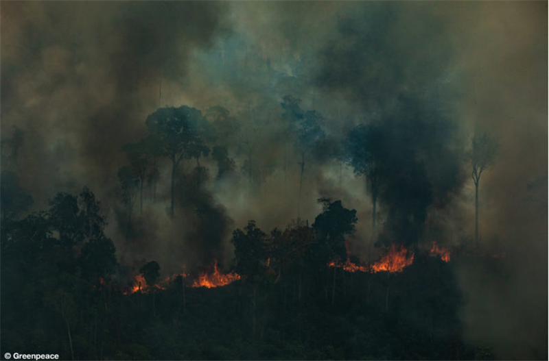 The Amazon fires won’t suffocate the Earth
