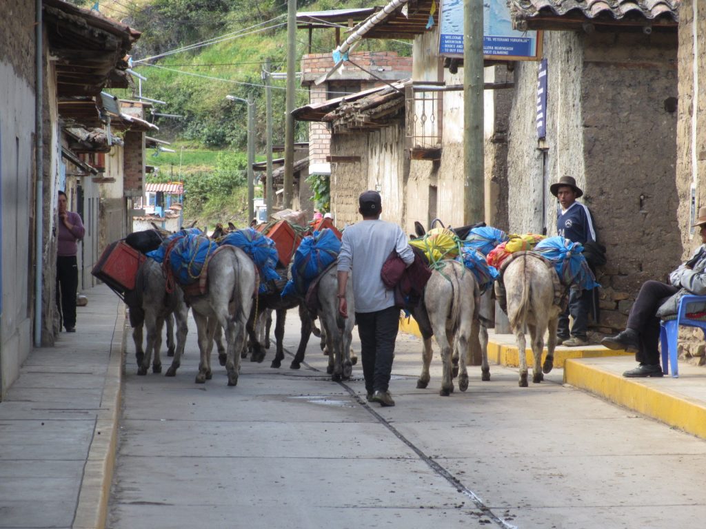 The local arrieros or donkey drivers do good business with the tour groups during summer.